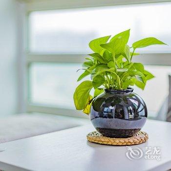 北京丫丫公寓(798路店)酒店提供图片