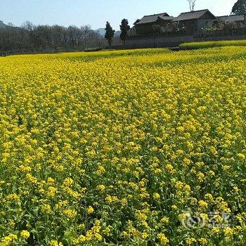 兴义野舍客栈酒店提供图片