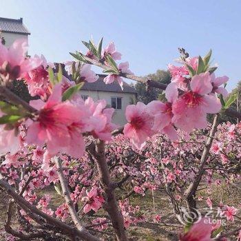 上海雲墨·溪岸民宿酒店提供图片