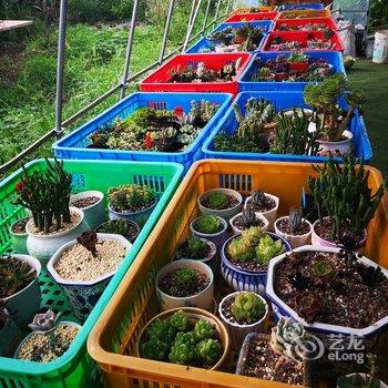 上海悦湖别墅酒店提供图片