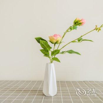 途掌柜华仔公寓(西安响堂村店)酒店提供图片