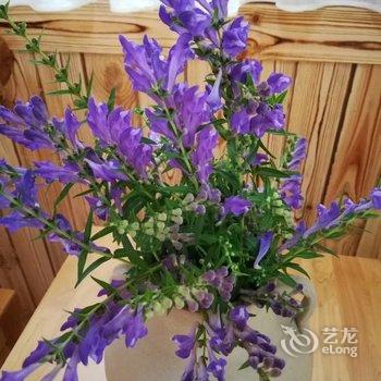 成都善美源特色民宿酒店提供图片