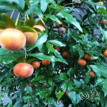 成都善美源特色民宿酒店提供图片
