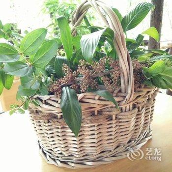 成都善美源特色民宿酒店提供图片