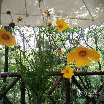 成都善美源特色民宿酒店提供图片