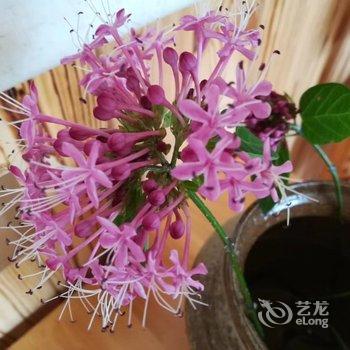 成都善美源特色民宿酒店提供图片
