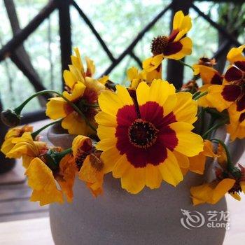 成都善美源特色民宿酒店提供图片