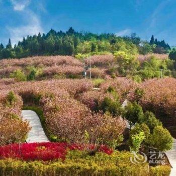 成都善美源特色民宿酒店提供图片