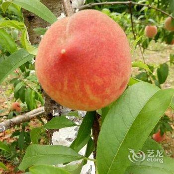 成都善美源特色民宿酒店提供图片