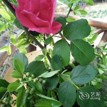 成都善美源特色民宿酒店提供图片