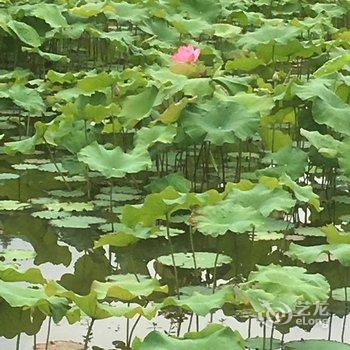 成都善美源特色民宿酒店提供图片