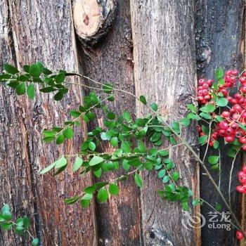 成都善美源特色民宿酒店提供图片