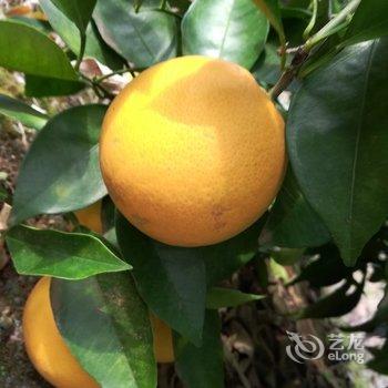 成都善美源特色民宿酒店提供图片