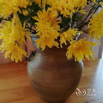 成都善美源特色民宿酒店提供图片