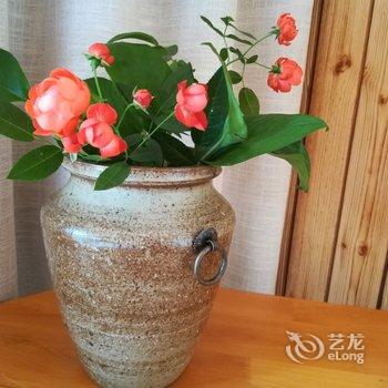 成都善美源特色民宿酒店提供图片