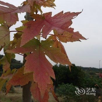 成都善美源特色民宿酒店提供图片