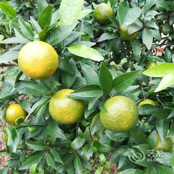 成都善美源特色民宿酒店提供图片