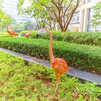 广州小柏屋公寓酒店提供图片