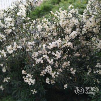 南宁郁金香春天公寓(20号店)酒店提供图片