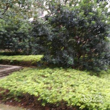 南宁郁金香春天公寓(20号店)酒店提供图片
