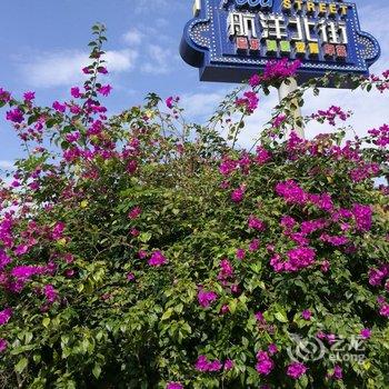 南宁郁金香春天公寓(20号店)酒店提供图片