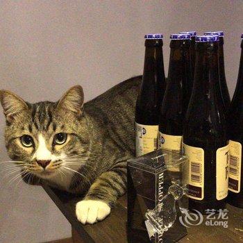 北京有间小院民宿酒店提供图片