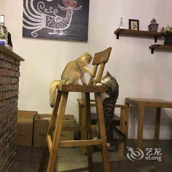 北京有间小院民宿酒店提供图片