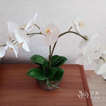 青岛番茄酱公寓酒店提供图片