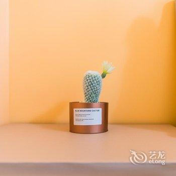 西安丰s公寓(4号店)酒店提供图片