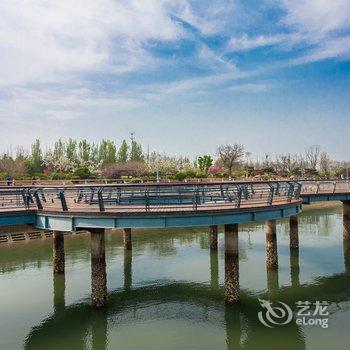 青岛包租龙公寓(情人伞分店)酒店提供图片