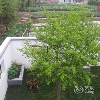 崇明海洪园民宿(镇中路分店)酒店提供图片