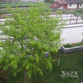 崇明海洪园民宿(镇中路分店)酒店提供图片