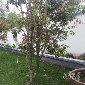 崇明海洪园民宿(镇中路分店)酒店提供图片