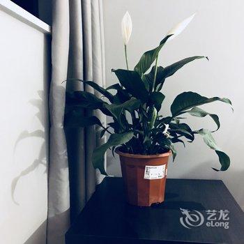 成都这间民宿有点酷酒店提供图片
