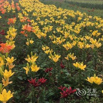 西安张茹白鹿客栈酒店提供图片