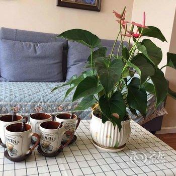 成都东客站美宿公寓(2号店)酒店提供图片