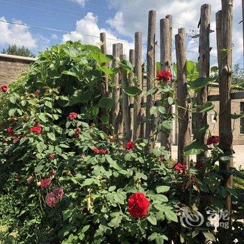 北京爱来农家院民宿酒店提供图片