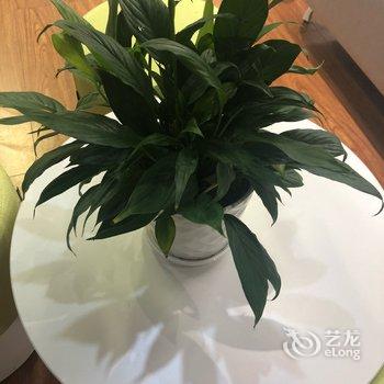 西安宝妈公寓酒店提供图片
