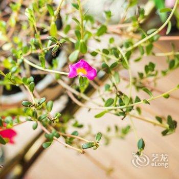 成都阳桂琼公寓(2号店)酒店提供图片
