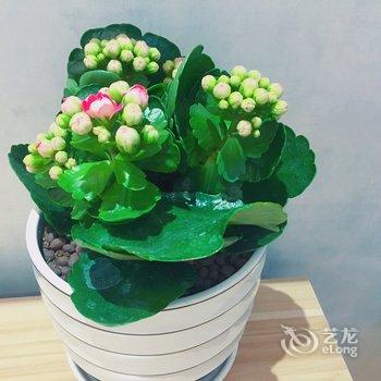 西安城市印记公寓酒店提供图片