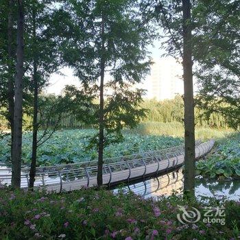 青岛简约温馨小居公寓酒店提供图片