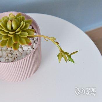 重庆孙小红公寓酒店提供图片