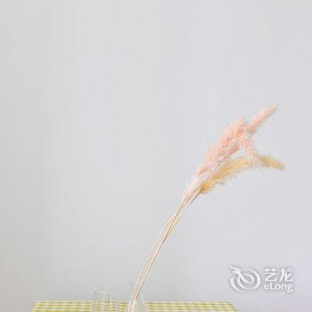 重庆孙小红公寓酒店提供图片