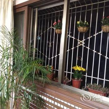 ����ȫ��ͨ��Ԣ�Ƶ��ṩͼƬ