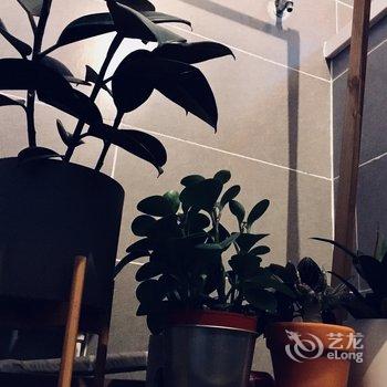 西安刘小小公寓酒店提供图片