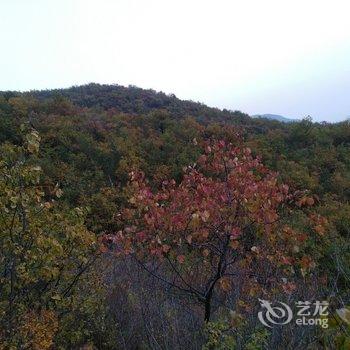 杜宏兰民宿(北京灵山路店)酒店提供图片