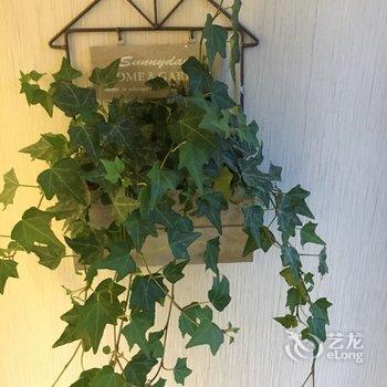 成都嘟嘟传奇公寓酒店提供图片