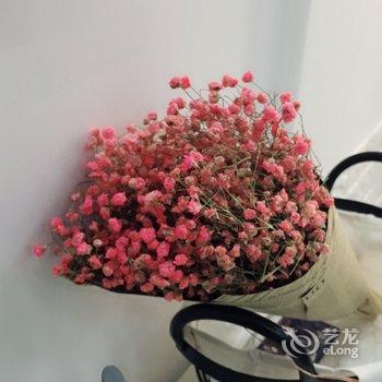 重庆青&姐公寓酒店提供图片