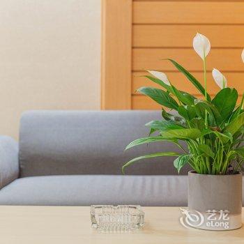 广州段兴汉公寓酒店提供图片