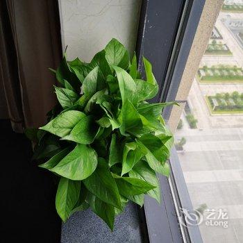 福州本道公寓酒店提供图片